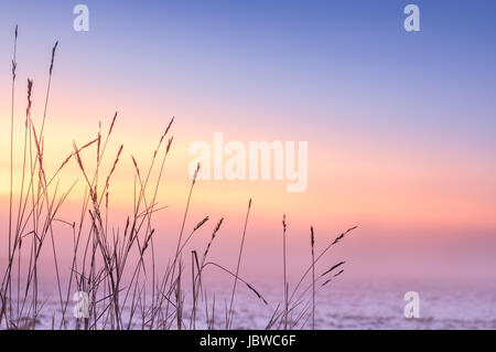 Neblig und farbenfrohen Sonnenuntergang mit Vordergrund Rasen am Winterabend Stockfoto