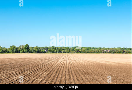 frisch gepflügtes Feld mit weit entfernten Bäumen und Brillant blauen Himmel Stockfoto