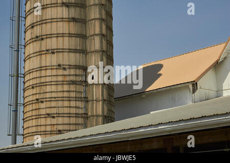 Weiße Scheune und Silo auf einem amischen Bauernhof, Lancaster County, Pennsylvania, USA Stockfoto