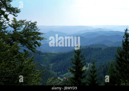 Landschaft Im Schwarzwald; Blick Über Endlose Wiesenlandschaften, Wälder, Berge Und Täler, die Landschaft im Schwarzwald in Deutschland; Blick über endlose Weiten, Wälder, Berge und Täler, Stockfoto