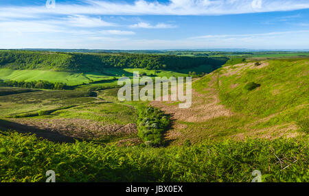 Loch des Horcum in den North York Moors mit Blick auf Ackerland, Moor und Vegetation an einem feinen Frühlingsmorgen in der Nähe von Goathland, Yorkshire, Großbritannien. Stockfoto