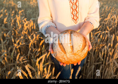 die junge Frau in einem weißen Nationaltrikot Weizen Feld Hintergrund der Runde gebackene Brot mit einem knackigen festhalten. Stockfoto