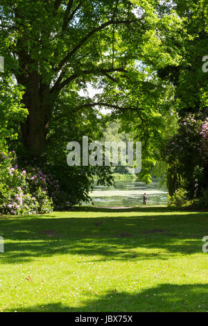 Clumber Park in Worksop in Nottinghamshire Stockfoto