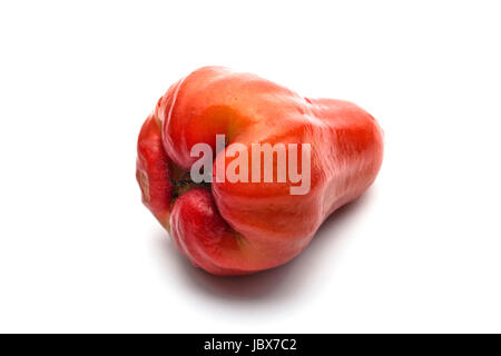 Rosenapfel Stockfoto