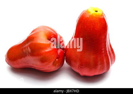 Rosenapfel Stockfoto