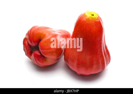 Rosenapfel Stockfoto