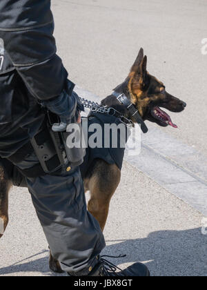 ALMERE, Niederlande - 12. April 2014: Mitglied ein SWAT-Team und seinen Hund während einer Demonstration am ersten nationalen Sicherheit statt in die Stadt Almere Stockfoto