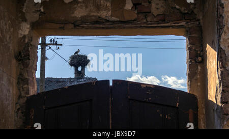 Kupinovo Dorf, Serbien - Blick auf ein Weißstorch Schachtelung auf einem Schornstein durch den verwitterten Hinterhof Toren eines Landhauses Stockfoto