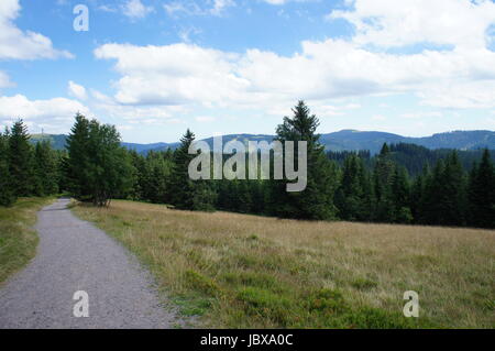 Landschaft Im Schwarzwald; Blick Über Wiesen Und Wälder, Berge Und Täler, Wandern Auf Dem Fernwanderweg Westweg Landschaft im Schwarzwald; Blick über Wiesen und Wälder, Berge und Täler, Wandern auf der Langdistanz Wanderweg Westweg Stockfoto