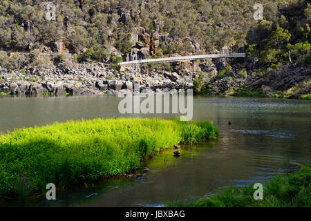 Alexandra Hängebrücke (Baujahr 1904) oberhalb des ersten Beckens auf der South Esk River in der Cataract Gorge in Launceston, Tasmanien, Australien Stockfoto