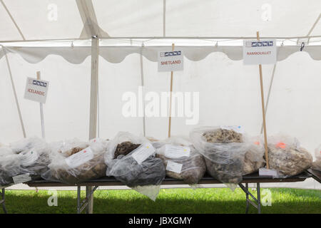 BOUCKVILLE, NY, USA - 10. Juni 2017: Taschen von verschiedenen Arten von Wolle auf dem Display an der jährlichen Fiber Festival of Central New York. Stockfoto