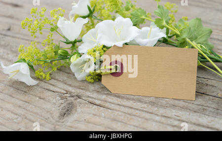 Weißen Glockenblumen, Frauenmantel und Karte Stockfoto
