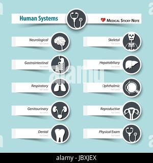 Menschliche Systeme. Medizinische Haftnotiz Stil. Stock Vektor
