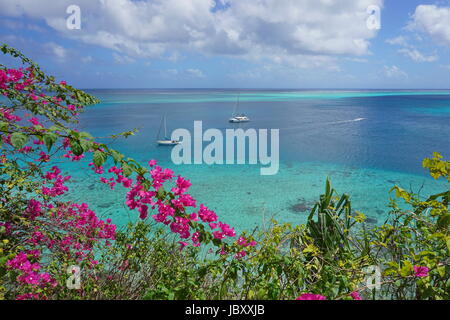 Seascape über tropische Lagune mit zwei Boote vertäut und Bougainvillea Blumen im Vordergrund, Huahine Insel in Französisch-Polynesien, Pazifik Stockfoto