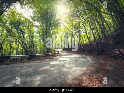 Herrliche Aussicht mit bunten grünen Wald mit Asphalt Bergstraße bei Sonnenuntergang. Wunderschöne Landschaft mit leeren Straßen, Bäume und Sonnenlicht am Abend ich Stockfoto