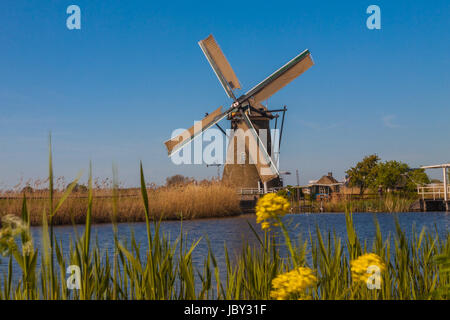 Mühlen von Kinderdijk sterben Stockfoto