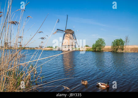 Mühlen von Kinderdijk sterben Stockfoto