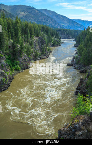 Frühling Stichwahl hohen Durchfluss am Clark Fork River in Alberton Schlucht in der Nähe von Alberton, montana Stockfoto