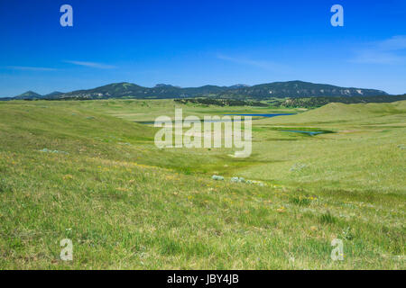 Feuchtgebiet unter den kleinen Rocky Mountains in der Nähe von schlichteten, montana Stockfoto