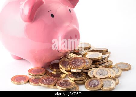 Sparschwein mit einem Haufen neuer Pfund-Münzen Stockfoto