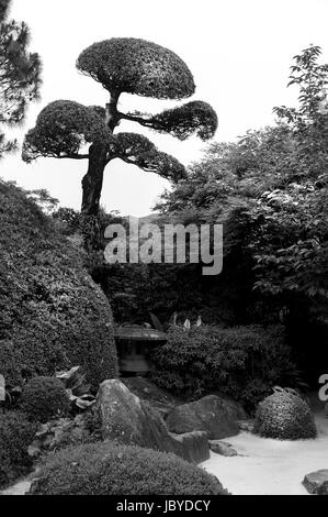 Japanischer Garten.  Chiran Samurai Häuser, Kagoshima, Kyushu, Japan Stockfoto