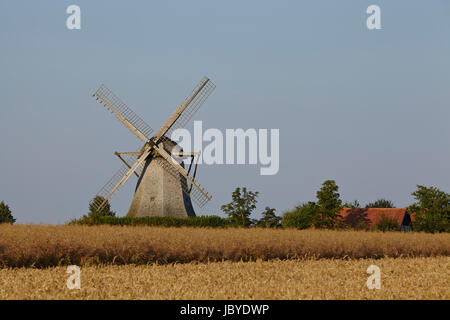 Die Windmühle Destel (Stemwede, Deutschland) ist eine holländische Windmühle und ist Bestandteil der Westfalen Mill Street (Westfaelische Muehlenstrasse). Stockfoto