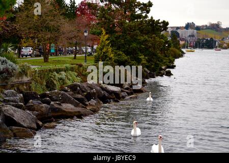 Genfer See, Schweiz Stockfoto