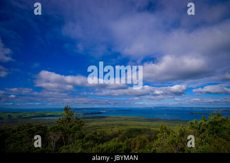 Blick auf Rangitoto Island von North Head an einem sonnigen Tag mit einem schönen blauen Himmel. Stockfoto