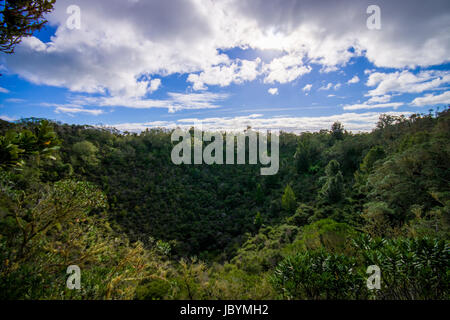 Blick auf Rangitoto Island von North Head an einem sonnigen Tag mit einem schönen blauen Himmel in einem grünen Wald. Stockfoto