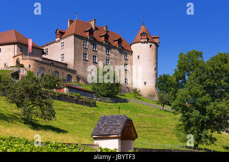 Gruyeres Schloss Château de Gruyère Stockfoto