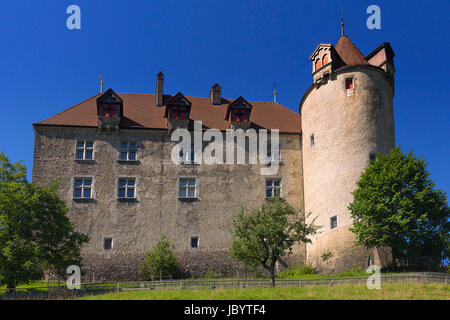 Schloss von gruyère Stockfoto