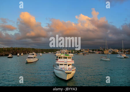 Boote in der Academy Bay in der Nähe von Puerto Ayora auf Santa Cruz Island verankert, Galapagos, Ecuador. Die Bucht war für die Kalifornische Akademie o benannt Stockfoto