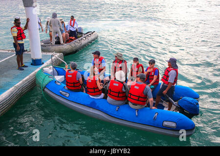 Gruppe von Touristen, die Landung in Puerto Ayora auf Santa Cruz Insel im Nationalpark Galapagos, Ecuador. Puerto Ayora ist die bevölkerungsreichste Stadt in der Gala Stockfoto