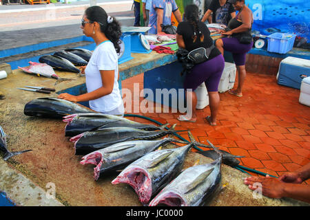 Lokale Frau verkaufen Fisch auf dem Markt in Puerto Ayora auf Santa Cruz Island, Galapagos Nationalpark in Ecuador. Puerto Ayora ist die bevölkerungsreichste Stadt Stockfoto