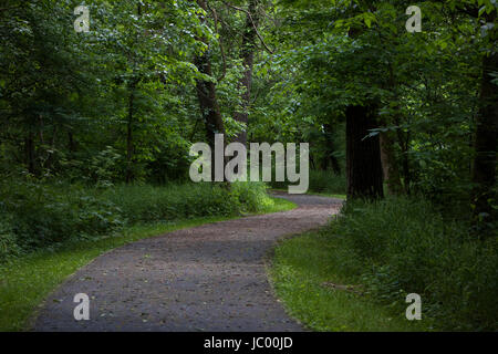 Fotos von der Feuchtgebiete zu erhalten - olentangy Trail - Columbus, OH, USA Stockfoto