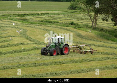 2. Juni 2017 - grüne Traktor Heu in einem frisch gemähten Feld drehen. Stockfoto