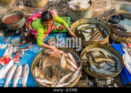 Eine Frau ist verkaufen Fische auf einem belebten Markt Straße in der Vorstadt neuer Markt Stockfoto