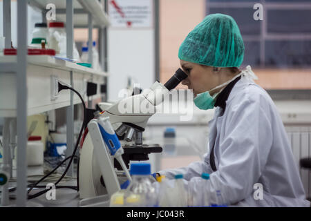 Schöne weibliche medizinische oder wissenschaftliche Forscher oder Frau Doktor durch ein Mikroskop in einem Labor suchen. Junge Wissenschaftler tun etwas Forschung. Stockfoto