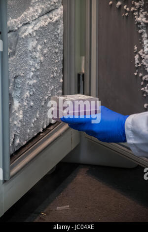 Wissenschaftler oder Forscher oder Doktorand ist chemische DNA-Proben vom Kühlschrank in Biotechnologie-Labor statt. Stockfoto