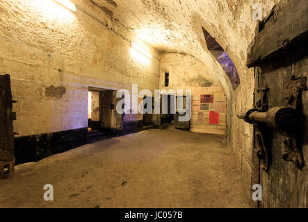 Frankreich, Allier (03), Moulins, Tour De La Mal-Coiffée de Lovezoo Château des Ducs de Bourbon et Ancienne Prison, le Mitard et Affiches Sous l'occupati Stockfoto