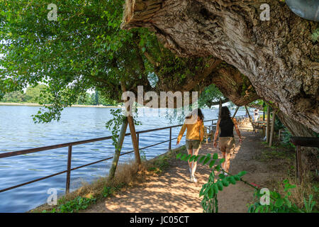 Frankreich, Allier (03), Vichy, Chemin et Restaurants le long de 19.Jhd. Entre le Quai d ' Allier et le Parc Napoléon III / / Frankreich, Allier, Vichy, Pfad ein Stockfoto