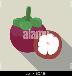 Mangostan, die isoliert flachen Stil, Mangostan Symbol isoliert, Mangostan auf einem hellen Hintergrund, Vektor-Illustration. Stock Vektor