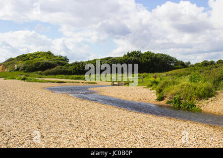 Die pulverförmigen Remoteshell Strand und hölzerne Fußgängerbrücke auf dem Solent Weg, Southampton Water Ende Haken Lane Reitweg, Titchfield gemeinsamen Stockfoto