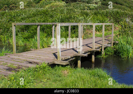 Die pulverförmigen Remoteshell Strand und hölzerne Fußgängerbrücke auf dem Solent Weg, Southampton Water Ende Haken Lane Reitweg, Titchfield gemeinsamen Stockfoto