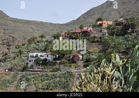 Masca, Bergdorf, Mascaschlucht, Teno-Gebirge, Teneriffa, Gebirge, Teno, Berge, Hochgebirges, erkundet, Kanaren, Kanarische Inseln, Spanien, Tenogebirge, Dorf Stockfoto