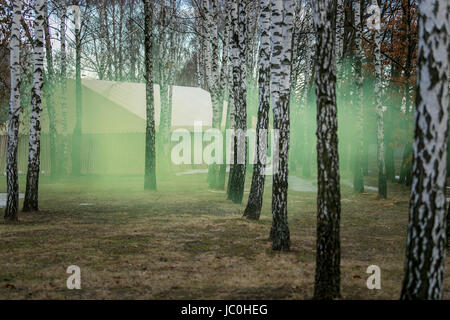 Schönen geheimnisvollen Wald am Morgen fallenden grünen Rauch Stockfoto