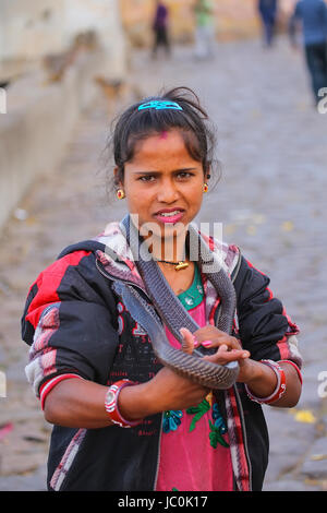 Einheimische Frau Holding indische Cobra in der Straße von Jaipur, Indien. Jaipur ist die Hauptstadt und größte Stadt im indischen Bundesstaat Rajasthan. Stockfoto