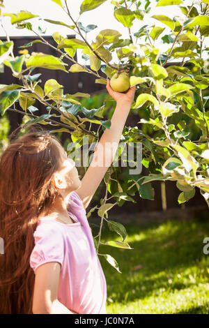 Porträt des jungen Mädchens mit grünem Apfel am Baum wachsen Stockfoto