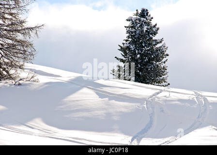 Skipisten rund um Tanne auf dem Schneeberg in Val Gardena, Dolomiten, Italien Stockfoto