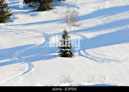 Skipisten rund um Tanne auf Schneehang Gebiet Portes du Soleil, Morzine - Avoriaz, Frankreich Stockfoto